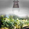 LED-A60-10W-SPM3-E27-CL PLP35WH MULTIPLANT Лампа светодиодная для растений, Форма A, прозрачная, Три спектра для проращивания, роста и цветения - фото 3