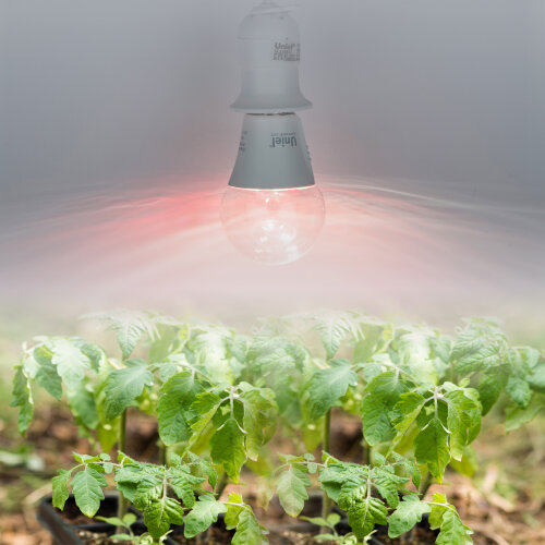 LED-A60-10W-SPM3-E27-CL PLP35WH MULTIPLANT Лампа светодиодная для растений, Форма A, прозрачная, Три спектра для проращивания, роста и цветения - фото 4