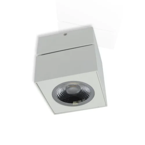 Накладной светодиодный светильник SW (12.3W, Day White) - фото I