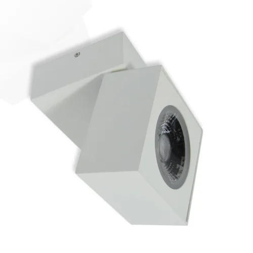 Накладной светодиодный светильник SW (12.3W, Day White) - фото II