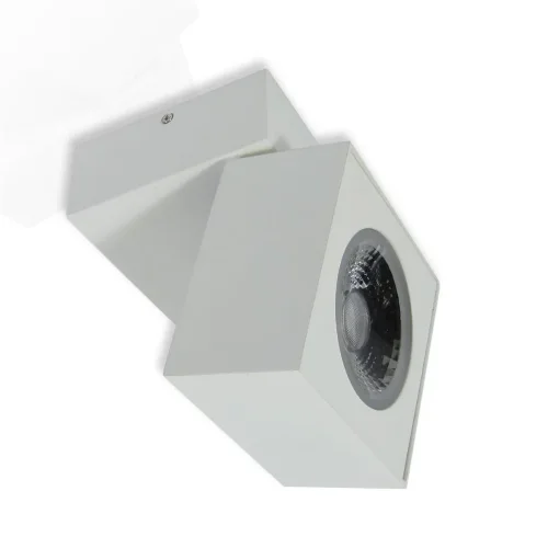 Накладной светодиодный светильник SW (12.3W, Day White) - фото II