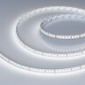 Светодиодная лента RT-A160-8mm 24V White6000 (12 W/m, IP20, 2835, 5m) (Arlight, высок.эфф.150 лм/Вт) 024534(2) - фото