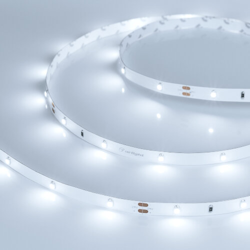 Светодиодная лента RT 2-5000 24V Cool 8K 0.5x (3528, 150 LED, LUX) (Arlight, 2.9 Вт/м, IP20) 019916 - фото