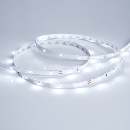 Светодиодная лента RT 2-5000 24V Cool 8К 0.5х (3528, 150 LED, LUX) (Arlight, 2.9 Вт/м, IP20) 019916 - фото 3