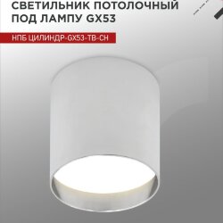 Светильник потолочный НПБ ЦИЛИНДР-GX53-TB-CH под лампу GX53 90х90мм хром IN HOME