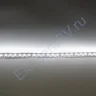 Светодиодная лента Standart PRO class, 3528, 120 led/m, White, 5V, IP20, P123 - фото 3.