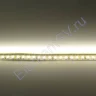 Светодиодная лента Standart PRO class , 3528, 120 led/m, Warm White, 24V, IP20 - фото 3.