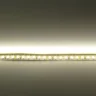 Светодиодная лента Standart PRO class , 3528, 120 led/m, Warm White, 24V, IP20 - фото III