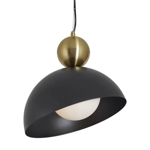 Подвесной светильник Кубок / Bowl (Черный) FR5439PL-01B - фото 9