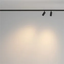 Трековый светильник Фокус / Focus Duo Basity 3000K/6000K 6Вт 36° (Черный) TR176-1-2X3WTW-M-B