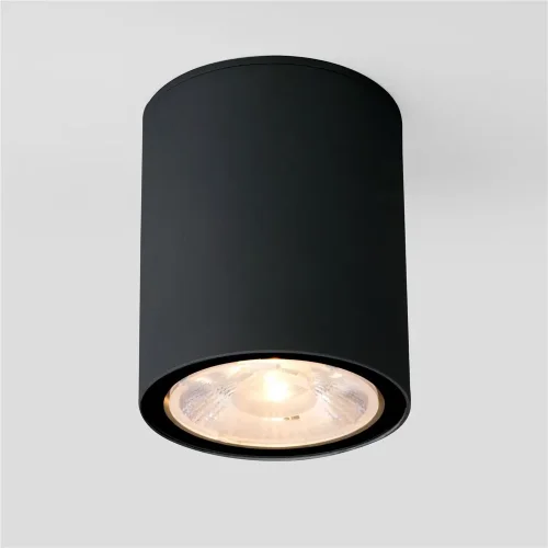 Уличный потолочный светильник Light LED IP65 35131/H черный - фото