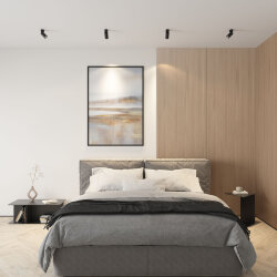 Светильник накладной IP 20, 50 Вт, GU10, черный, алюминий, Denkirs DK2029-BK