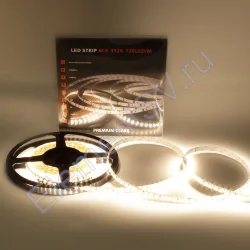 Светодиодная лента Class Premium, 3528, 120 led/m, warm white, 24V, IP33, A38