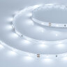 Светодиодная лента RT 2-5000 24V White6000 0.5x (3528, 150 LED, LUX) (Arlight, 2.9 Вт/м, IP20) - фото 1