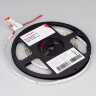 Светодиодная лента RT 2-5000 24V White6000 0.5x (3528, 150 LED, LUX) (Arlight, 2.9 Вт/м, IP20) - фото 2