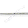 Светодиодная лента Standart PRO class, 3528, 120 led/m, White,12V, IP20 - фото 2.