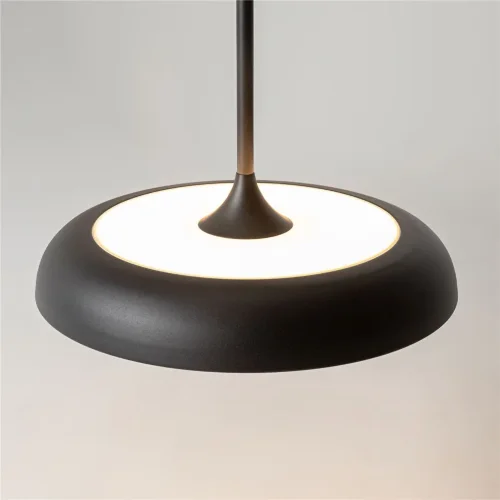 Подвесной светильник Gerhard 3000K 39Вт (Черный) - фото 10