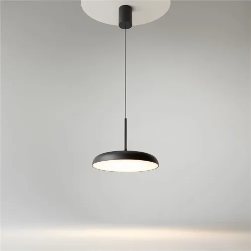 Подвесной светильник Gerhard 3000K 39Вт (Черный) - фото 11