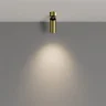 Потолочный светильник Фокус / FOCUS LED 12 Вт 4000 К 50° (Латунь) C055CL-L12W4K-W-BS - фото 4