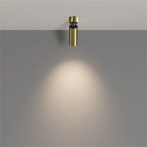 Потолочный светильник Фокус / FOCUS LED 12 Вт 4000 К 50° (Латунь) C055CL-L12W4K-W-BS - фото 20