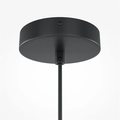 Подвесной светильник Roots E27х1 (Черный) - фото 6