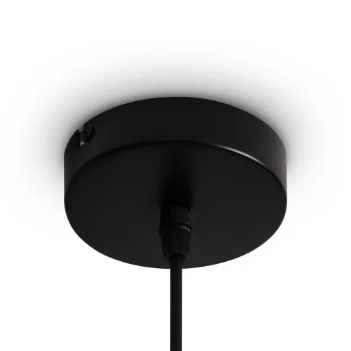 Подвесной светильник FR5503PL-01B Топи / Topi E27x1 (Черный) FR5503PL-01B - фото 8