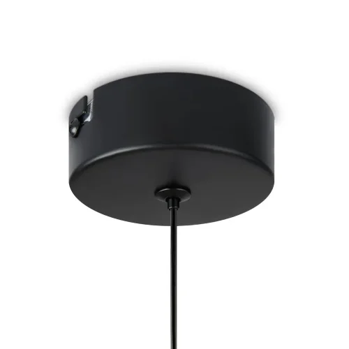 Подвесной светильник Freya FR6134PL-L4SM (Черный) - фото 5