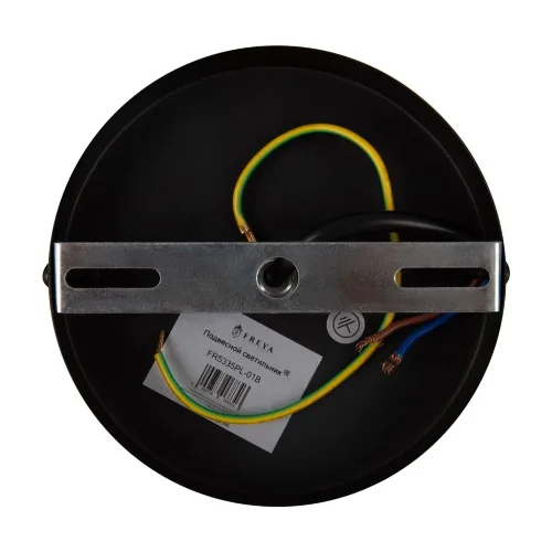 Подвесной светильник FR5335PL-01B Форма / Shape E14x1 (Черный) FR5335PL-01B - фото 7