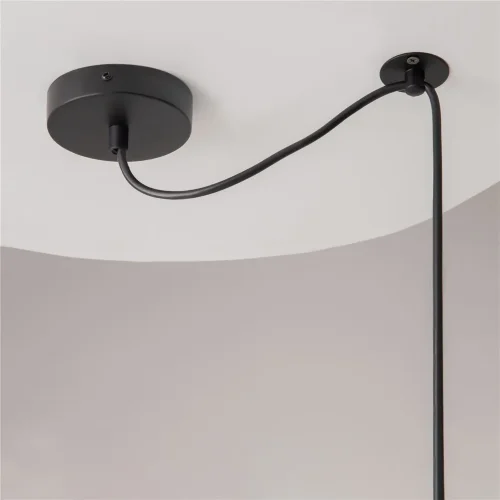 Подвесной светильник Maytoni T439-PL-01-GR (Черный) - фото 9