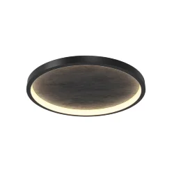 Потолочный светильник Orign 3000К 40Вт (Черный)