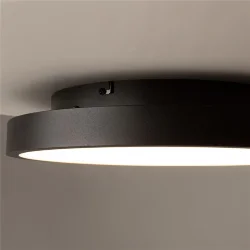 Потолочный светильник Orign 3000К 40Вт (Черный)