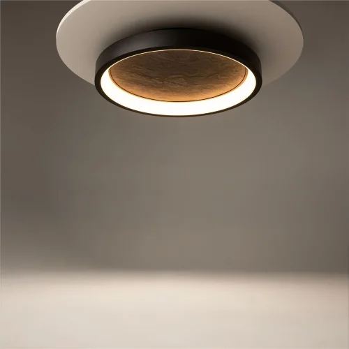 Потолочный светильник Orign 3000К 40Вт (Черный) - фото 6