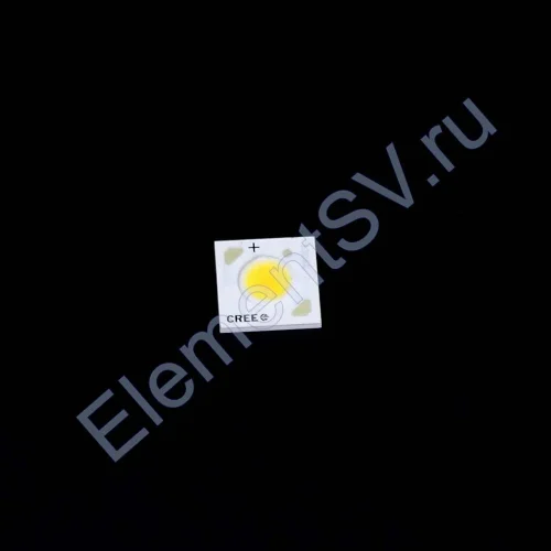 Светодиодная матрица CXA1304 C DC4 Day white - фото.