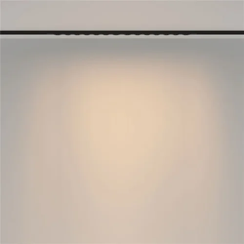 Трековый светильник Spiky Basity 3000K/6000K 24Вт 36° (Черный) - фото 6