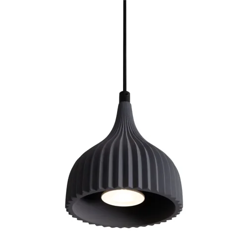 Подвесной светильник Freya FR5582PL-01GF (Черный) - фото 12