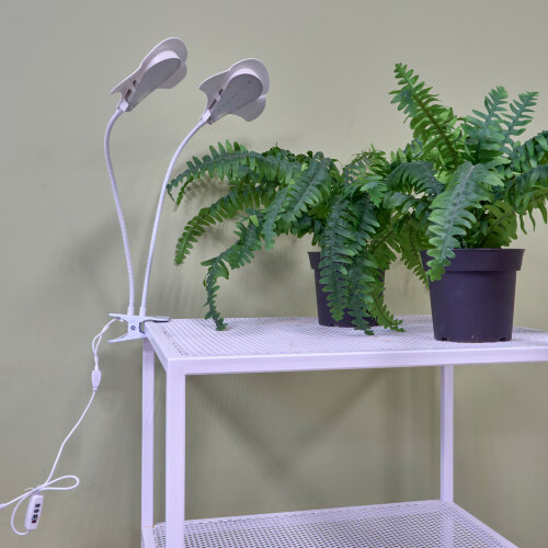 ULT-P35M-15W-SPLE-TM IP40 WHITE LEAF Светильник для растений светодиодный с таймером, на прищепке, Спектр для фотосинтеза, TM Uniel - фото 8