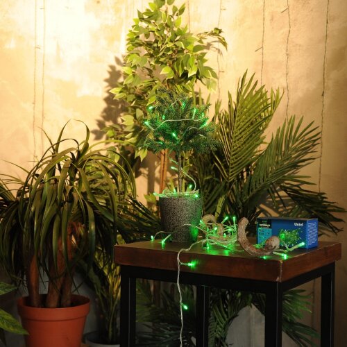 ULD-S0500-050-DTA GREEN IP20 Гирлянда светодиодная с контроллером, 5м, 50 светодиодов, Зеленый свет, Провод прозрачный - фото 6