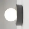Настенный светильник (бра) Careless G9x1 (Серый) - фото 13