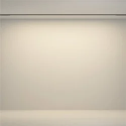 Трековый светильник Гибкий / Flex Basity 3000K/6000K 24Вт 90° (Черный) TR180-1-24WTW-B