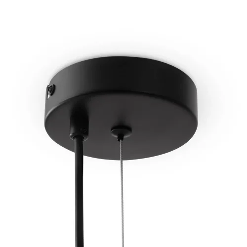Подвесной светильник Freya FR5372PL-05B (Черный) - фото 7