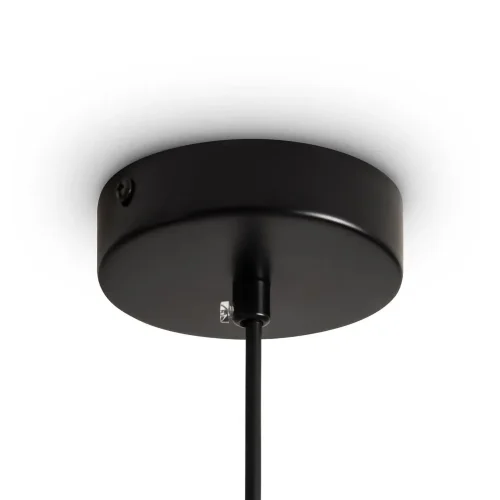 Подвесной светильник Freya FR5492PL-01B (Черный) - фото 2