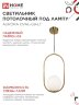 Светильник подвесной под лампу AURORA OVAL-G9-LT 1хG9 матовый плафон, латунный корпус IN HOME - Фото 5