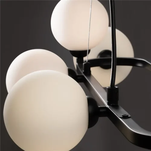 Подвесной светильник Глобос / Globos (Черный) FR5222PL-08B1 - фото 8