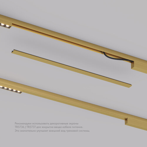 TR5737-SB Декоративная заглушка желоба трека, 50см, для трека Shine, серия Base, сатинированная латунь, алюминий. Фото 4