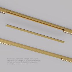 Декоративная заглушка желоба трека, 50см, для трека Shine, серия Base, сатинированная латунь, алюминий, Denkirs TR5737-SB
