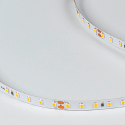 Светодиодная лента 10Вт 24В IP33 теплое свечение, DSG298-24-WW-33 000527