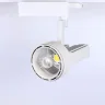 Светодиодный светильник трековый JH-GDD 2L PX65 (50W, 220V, white body, 30deg, warm white) - фото I