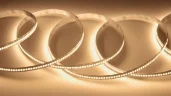 Светодиодная лента Class Premium, 2835, 240 led/m, однорядная, warm white, 12V, 24W/m, IP20, A72 - фото I