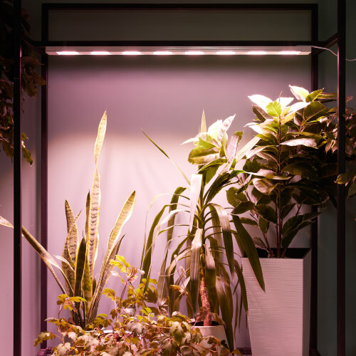 ULT-P70B-100W-SPLE-L105 WHITE WINTERGARDEN Светильник светодиодный накладной, Спектр для фотосинтеза, Корпус белый, Угол 60 градусов - фото 10