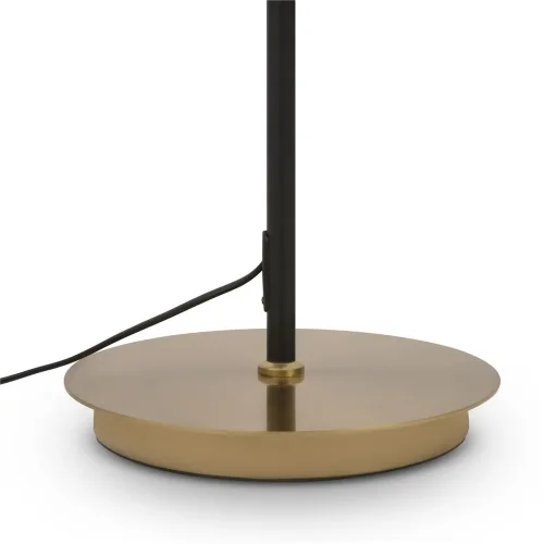 Напольный светильник (торшер) Freya FR5201FL-01B (Черный) - фото 4